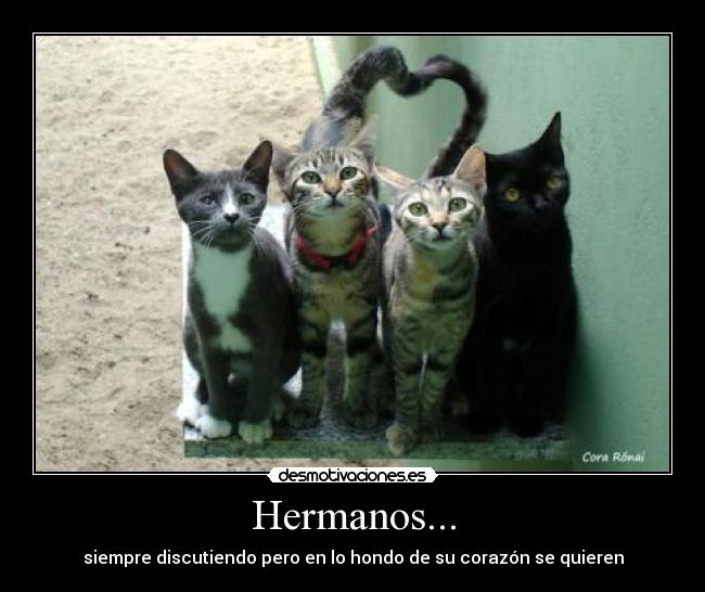 carteles desmotivaciones