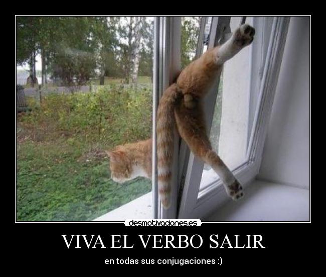 VIVA EL VERBO SALIR - en todas sus conjugaciones :)