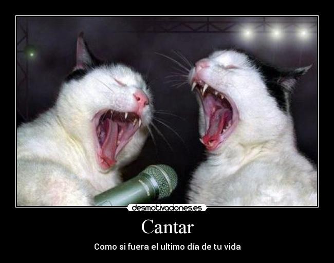 Cantar - Como si fuera el ultimo día de tu vida