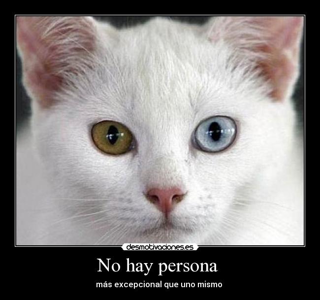 No hay persona  - 