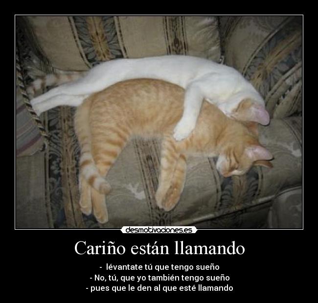 Cariño están llamando -