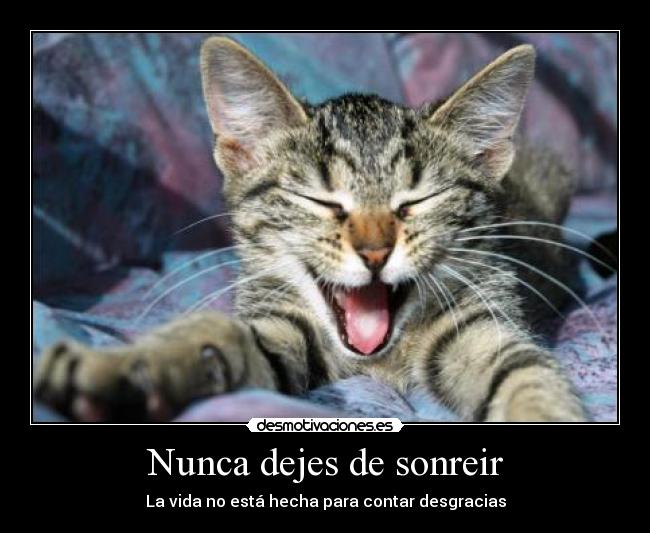 carteles sonreir gato deesgracias gethstyle desmotivaciones