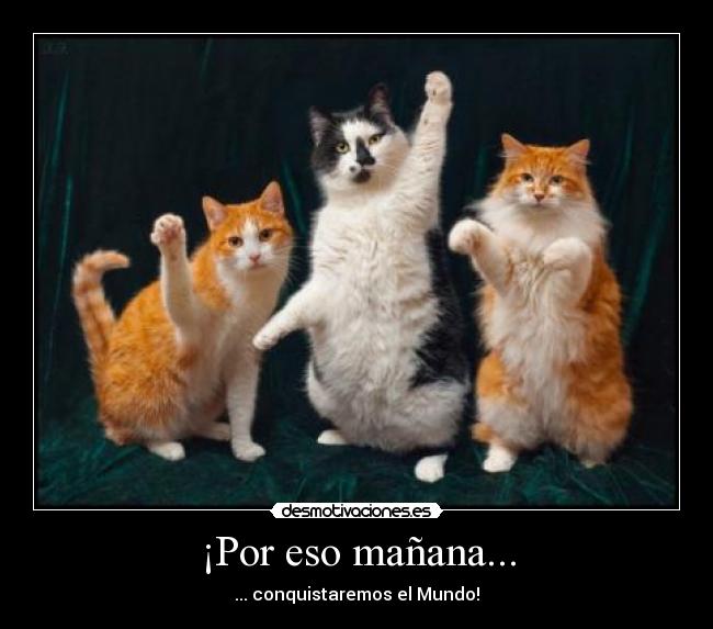 ¡Por eso mañana... - ... conquistaremos el Mundo!