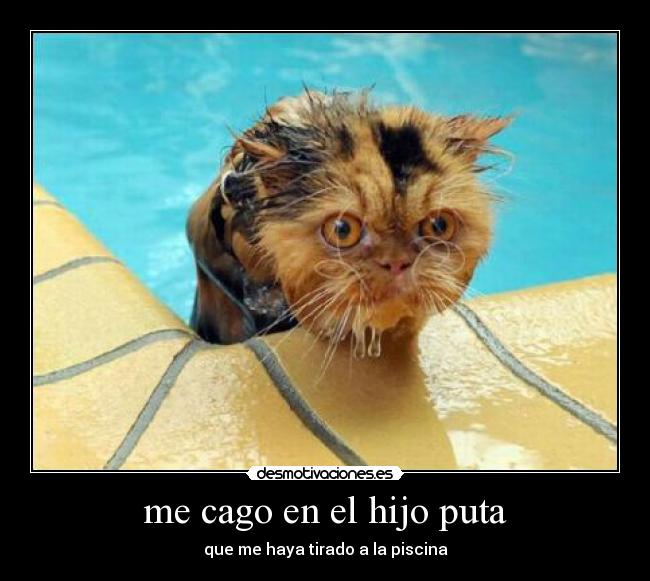 me cago en el hijo puta - 