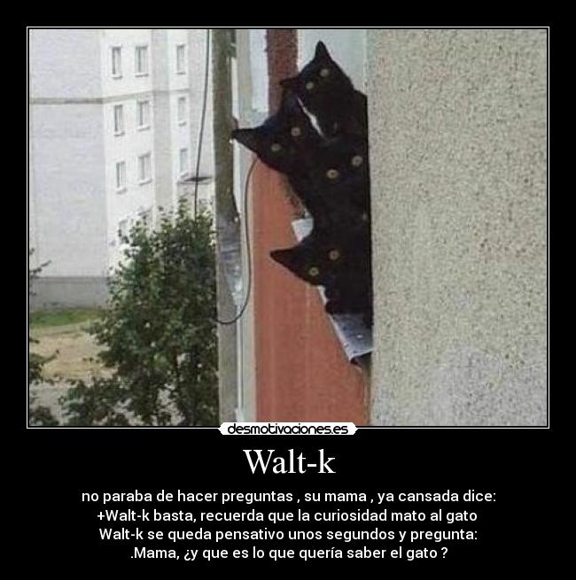 Walt-k - no paraba de hacer preguntas , su mama , ya cansada dice:
+Walt-k basta, recuerda que la curiosidad mato al gato
Walt-k se queda pensativo unos segundos y pregunta:
.Mama, ¿y que es lo que quería saber el gato ?