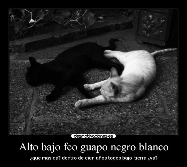Alto bajo feo guapo negro blanco - ¿que mas da? dentro de cien años todos bajo  tierra ¿va?