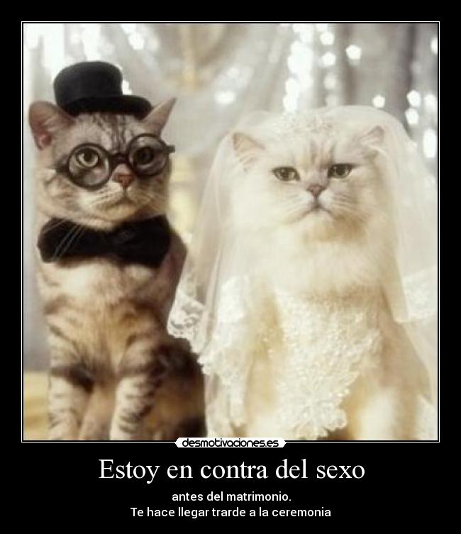 Estoy en contra del sexo - antes del matrimonio.
Te hace llegar trarde a la ceremonia