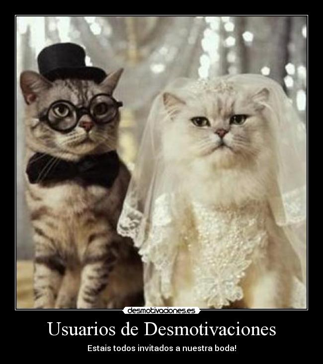 Usuarios de Desmotivaciones -