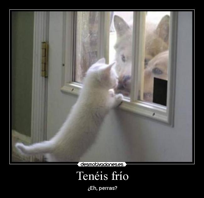 Tenéis frío - 