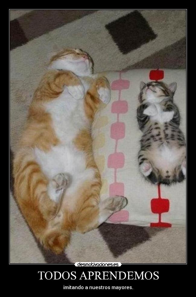 TODOS APRENDEMOS - imitando a nuestros mayores.