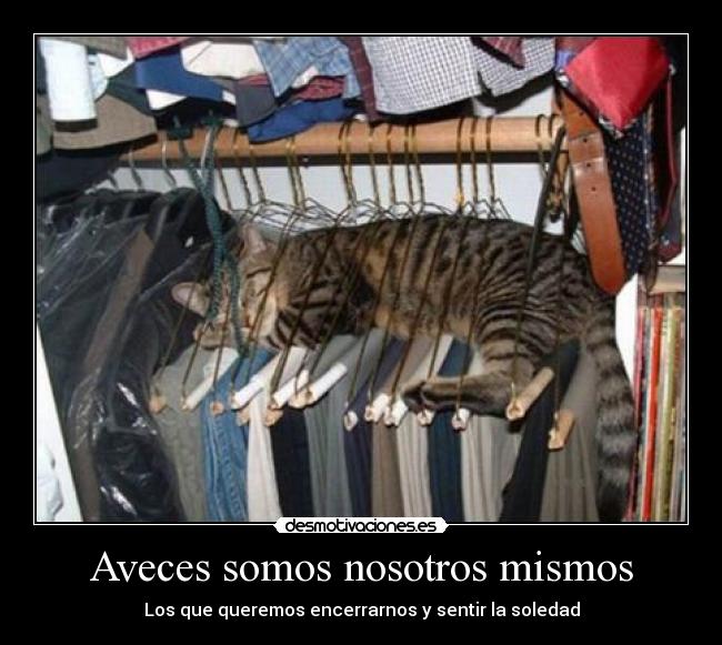 Aveces somos nosotros mismos - 