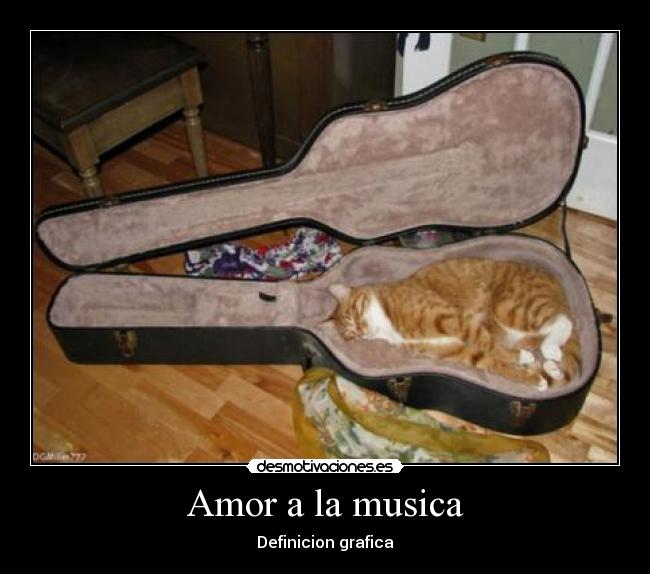 carteles amor musica musica gato amor guitarra gatito animal tono acorde instrumento minino perro lindo desmotivaciones