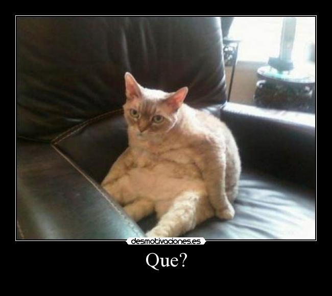 Que? - 