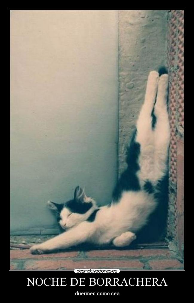 NOCHE DE BORRACHERA - duermes como sea
