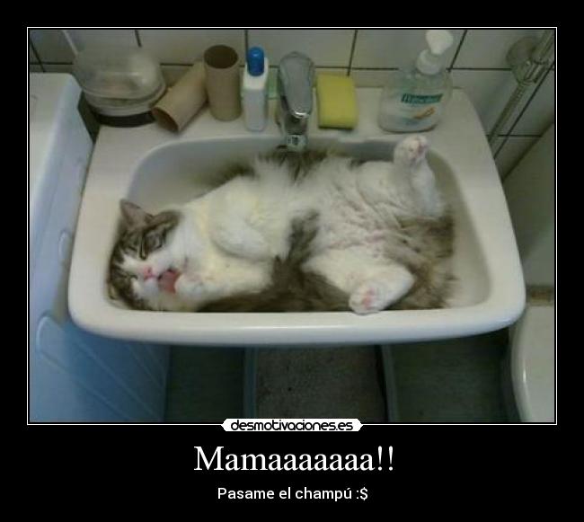 Mamaaaaaaa!! - Pasame el champú :$