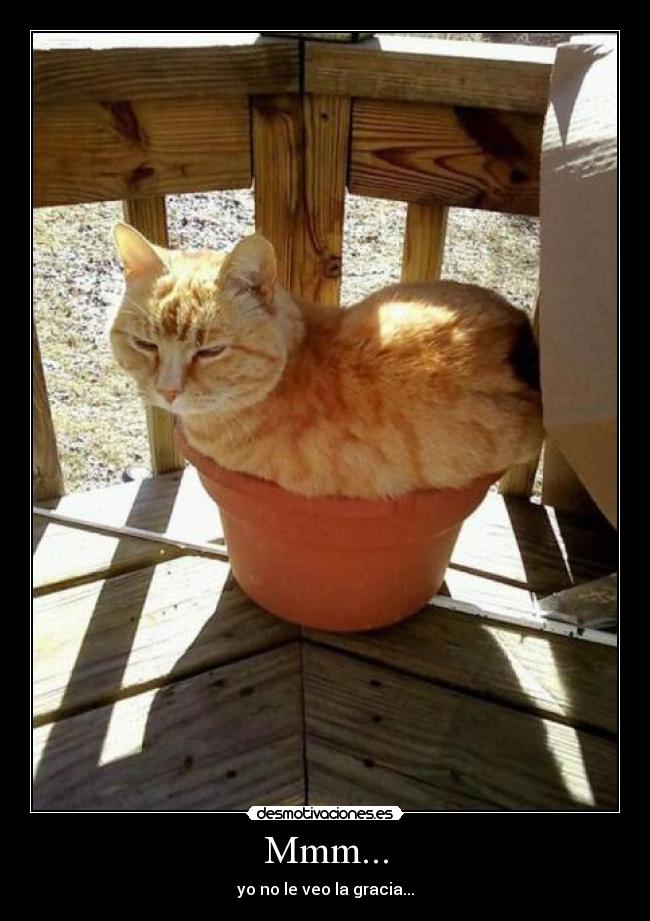 Mmm... - yo no le veo la gracia...