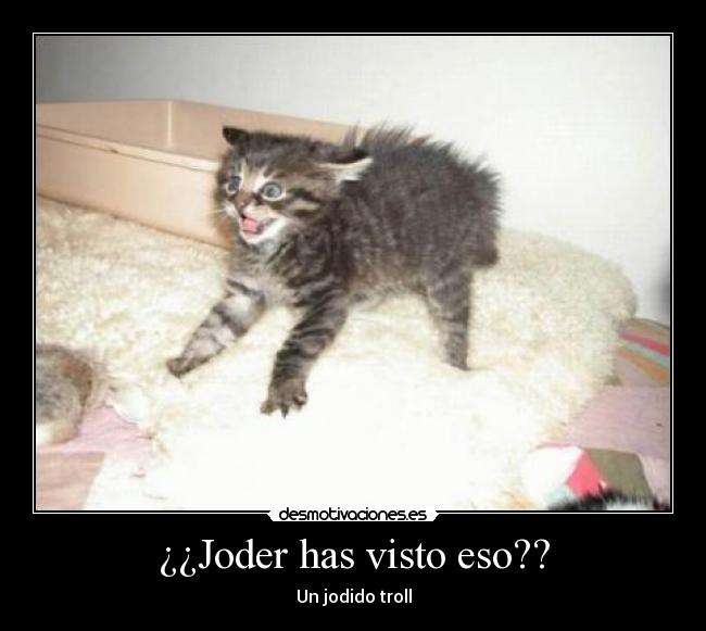 carteles gato desmotivaciones