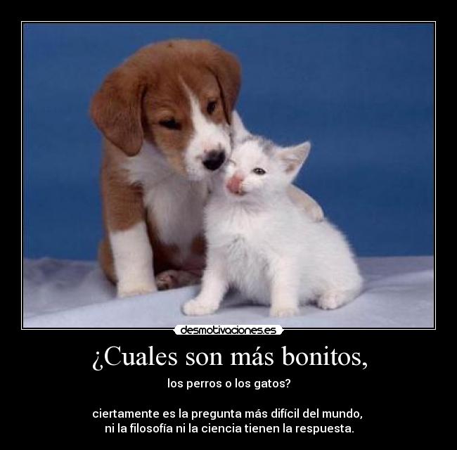 ¿Cuales son más bonitos, -