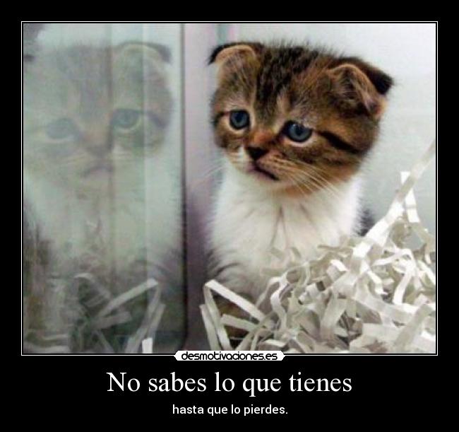 No sabes lo que tienes - 