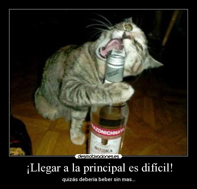 ¡Llegar a la principal es difícil! -