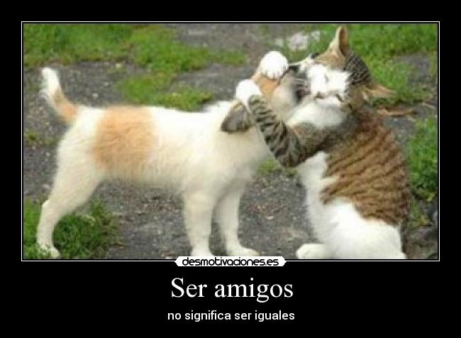 Ser amigos -
