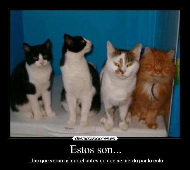 Estos son... - 