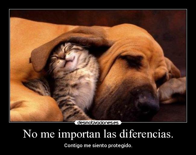 No me importan las diferencias. -