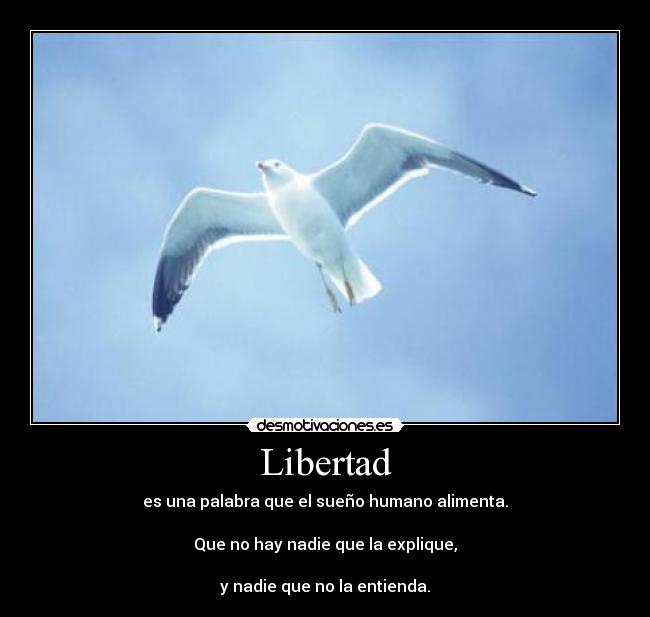 Libertad - 