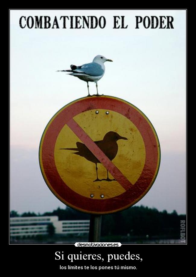 Si quieres, puedes, -