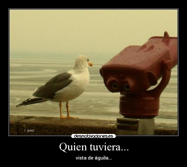 Quien tuviera... - vista de águila...
