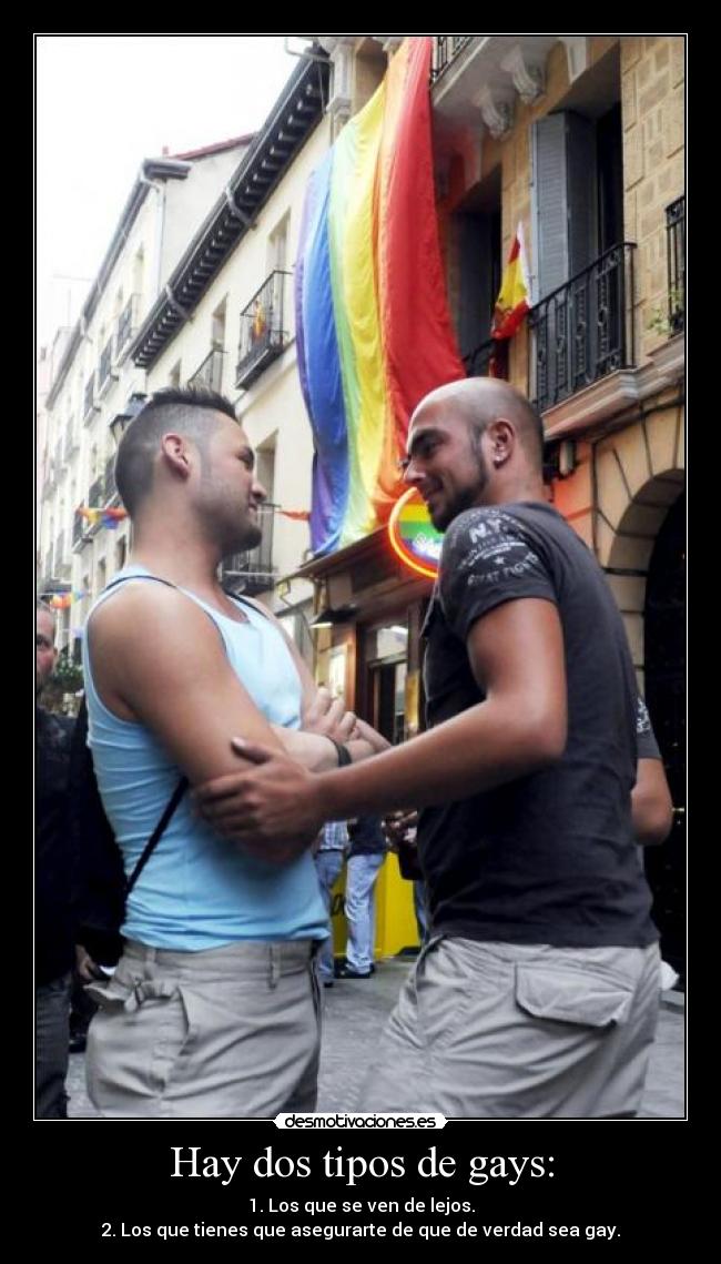 Hay dos tipos de gays: - 