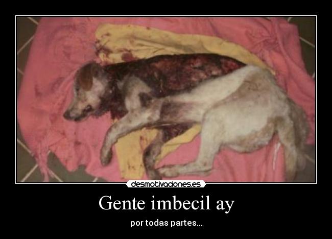 Gente imbecil ay - por todas partes...