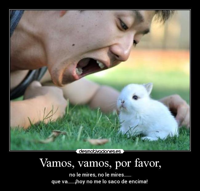 Vamos, vamos, por favor, - 
