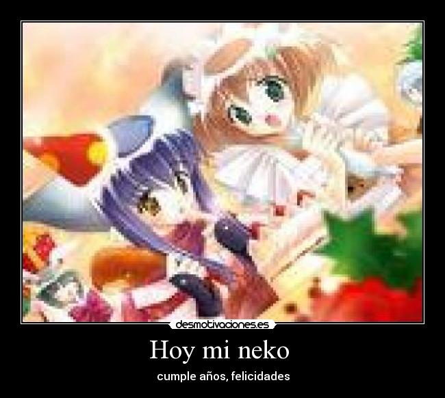 Hoy mi neko  - 