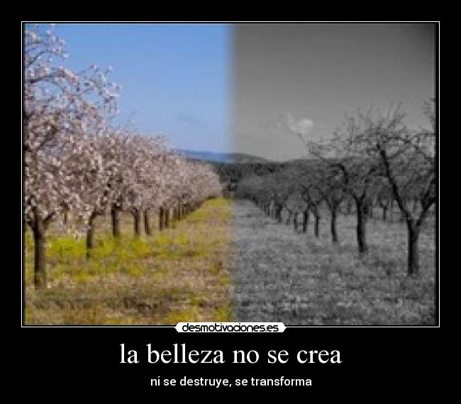 la belleza no se crea - ni se destruye, se transforma