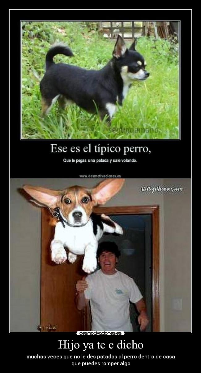 Hijo ya te e dicho - muchas veces que no le des patadas al perro dentro de casa
que puedes romper algo