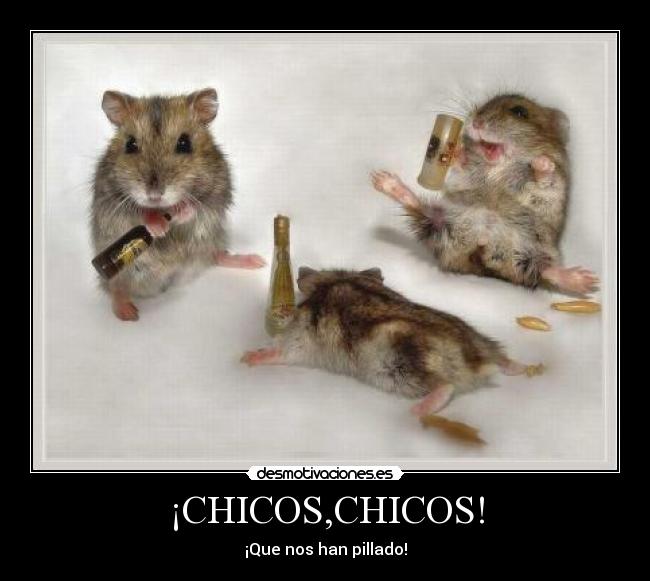 ¡CHICOS,CHICOS! -