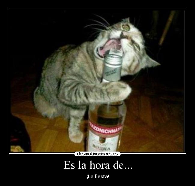 carteles desmotivaciones