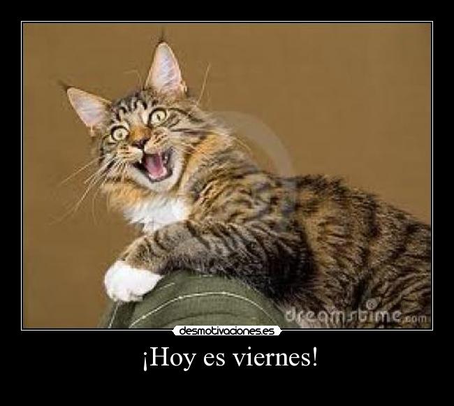 ¡Hoy es viernes! -