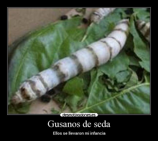 Gusanos de seda - Ellos se llevaron mi infancia