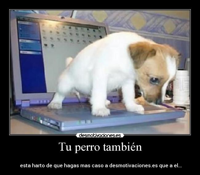 carteles yeste desmotivaciones