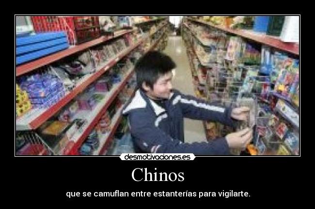 Chinos - 