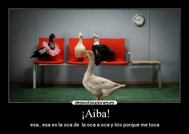 ¡Aiba! - 