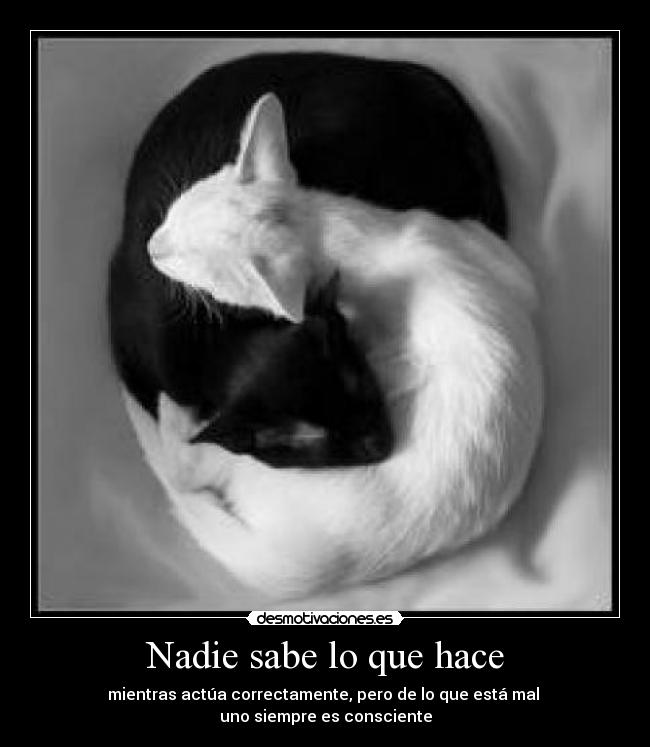 Nadie sabe lo que hace - 