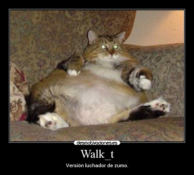 Walk_t -
