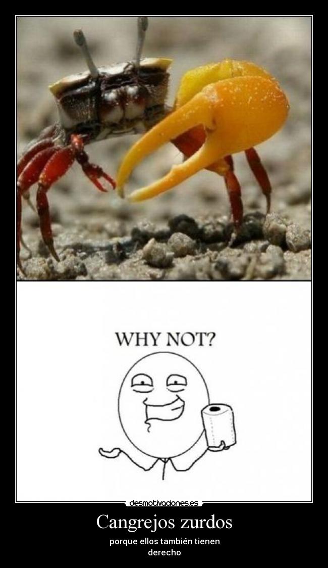 Cangrejos zurdos -
