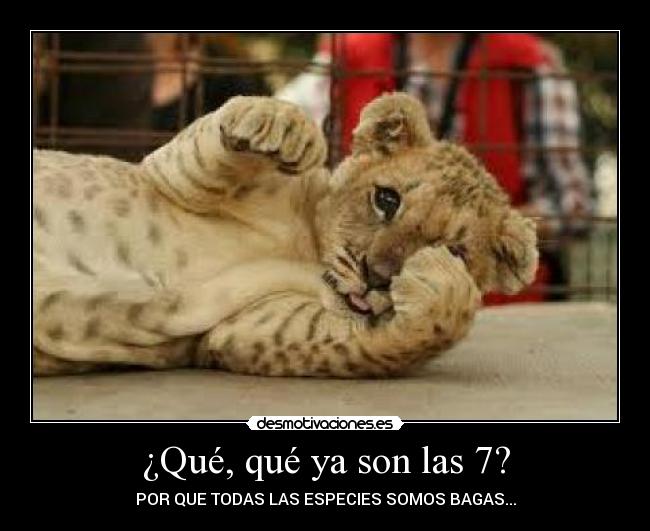 ¿Qué, qué ya son las 7? - POR QUE TODAS LAS ESPECIES SOMOS BAGAS...