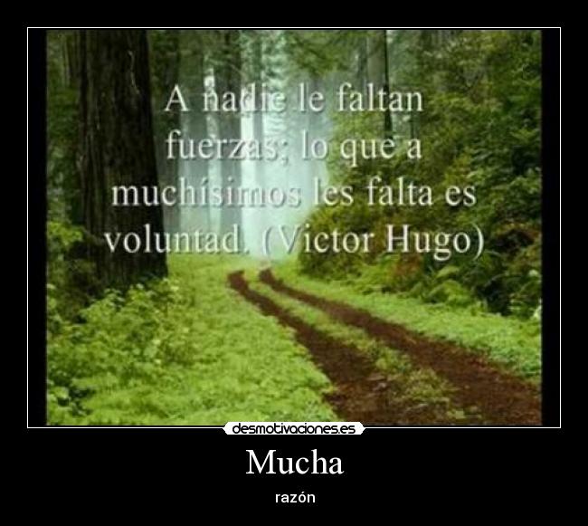Mucha - razón