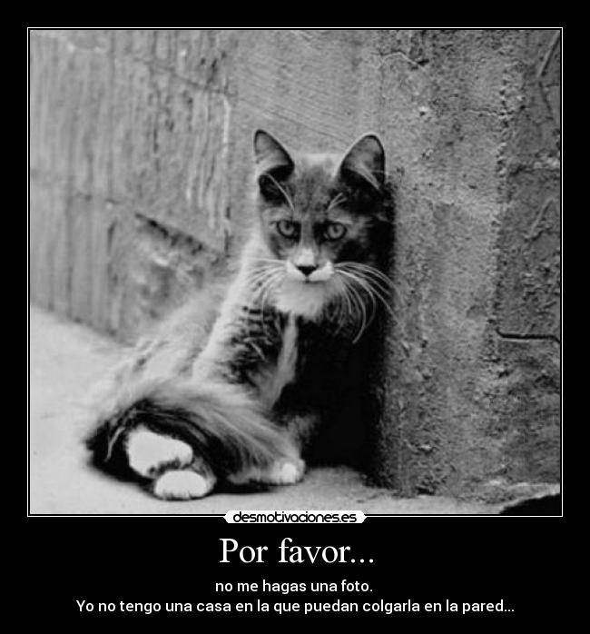 Por favor... - 