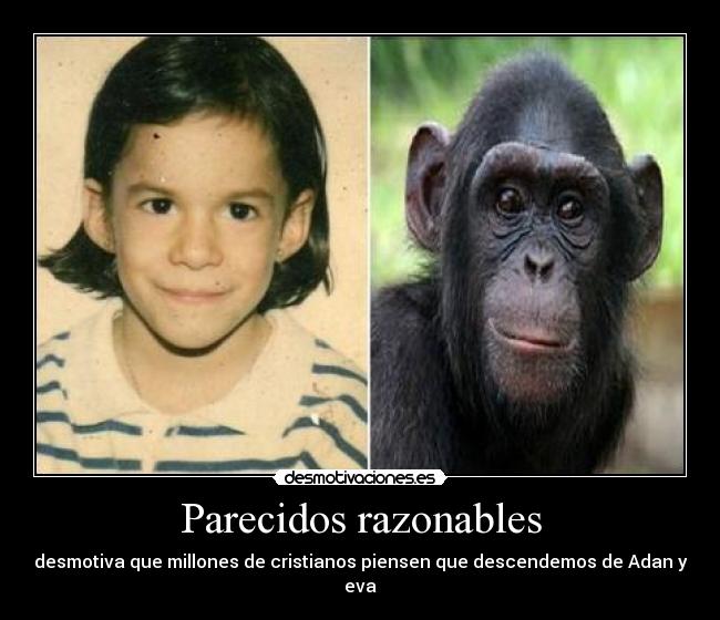 Parecidos razonables -